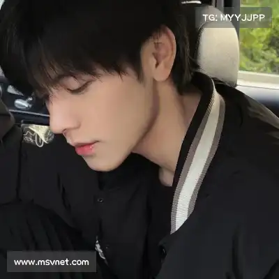 卫昭桥